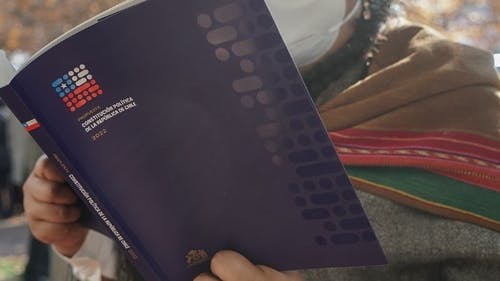 ¿Cómo es el sistema político que se establece en el propuesta de nueva Constitución? Claudia Sarmiento lo detalla en Sonar Global