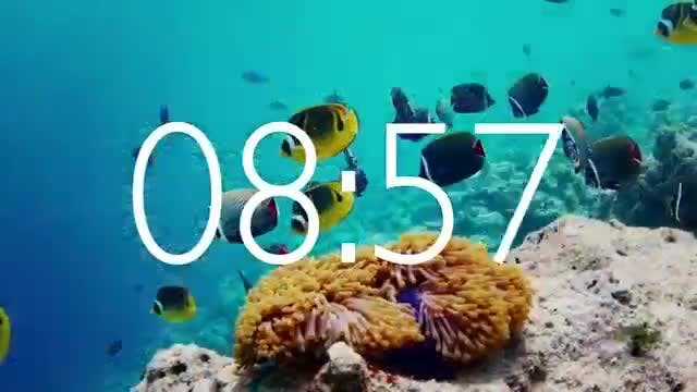 Vibrant Underwater Exploration with Diverse Marine Life
