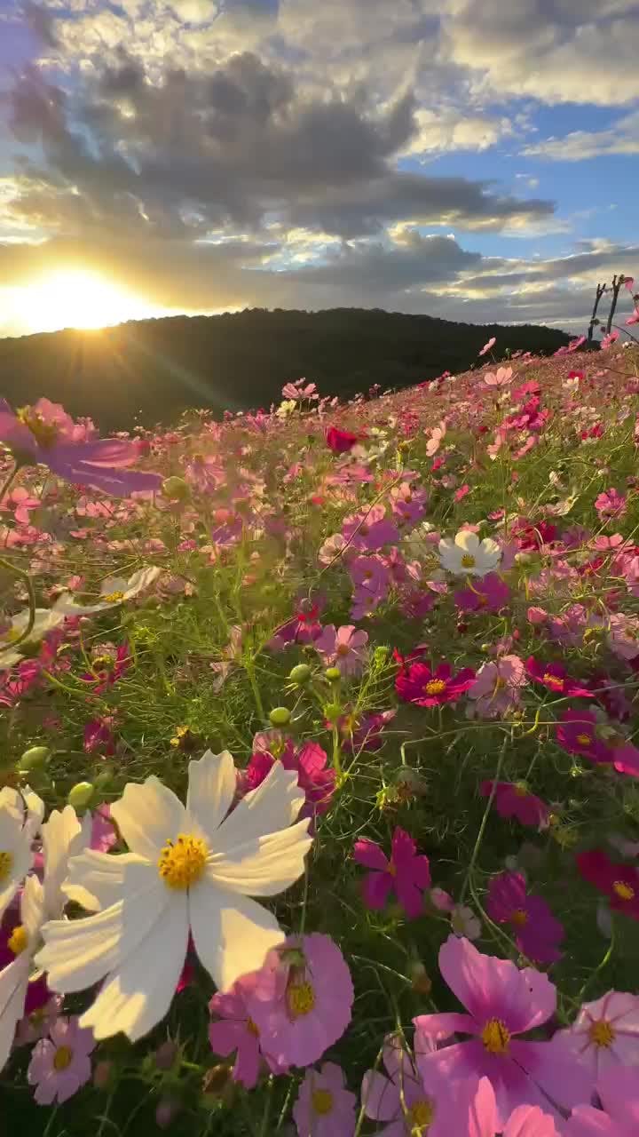 Viaje entre Montañas y Sueños