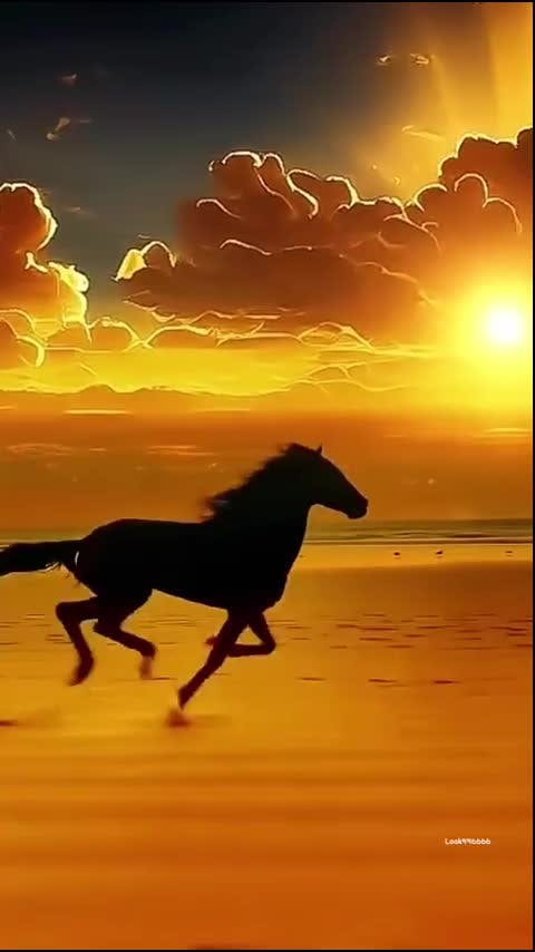 Susurros de la Naturaleza