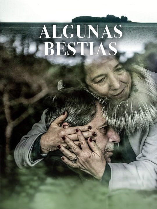 24 Tarde