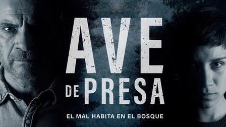 Ave de Presa