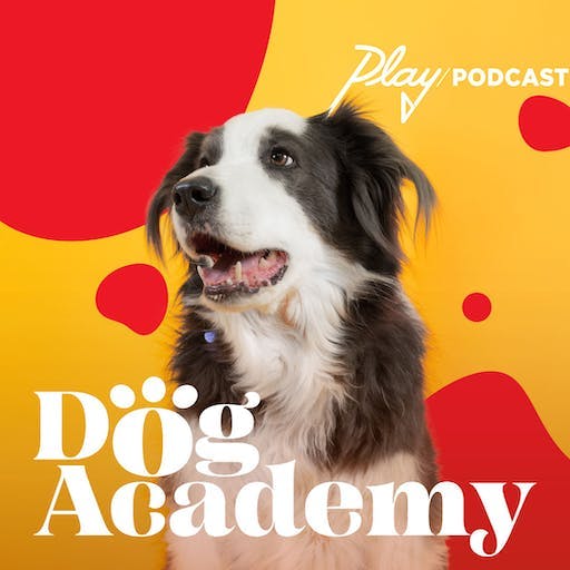 Dog Academy