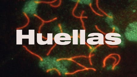 El precio de la historia 2