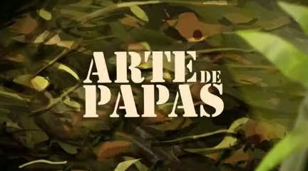 Arte de papas