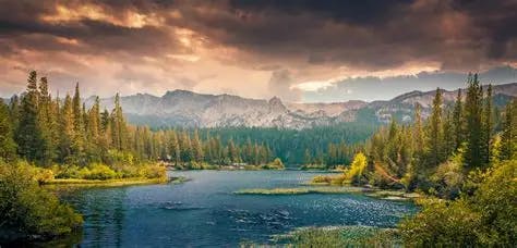 La Paz De La Naturaleza